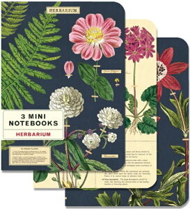 Cavallini&Co ~jm[gubN3Zbg n[oE A6 NoteBook J@[j IVm[g ԕ n[u