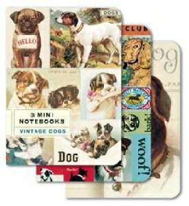 Cavallini&Co ~jm[gubN3Zbg hbO A6 NoteBook J@[j IVm[g@@Dog
