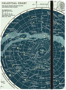 Cavallini&Co [Wm[gubN V   A5 NoteBook J@[j Sߕt@IVm[g