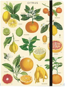 Cavallini&Co [Wm[gubN VgX A5 NoteBook J@[j Sߕt@IVm[g k  O[vt[c