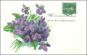 A|XgJ[h@tX@gD[[Y(BIbg)݂u[PƐ؎@La Maison de la Violette@݂@X~@Gt@tX@A|XgJ[h