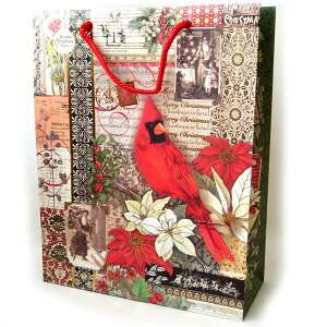 Punch Studio@y[p[obOL@2C̐ԂNX}X܁EbsOEMtgEEEo[h