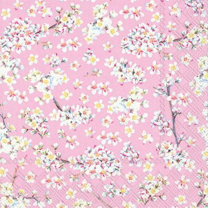 5y[p[ivL@~̉ԁ@[Y@[IHR]`TCY@n[j[tHo[@[Y@E