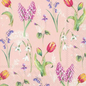 5y[p[ivL@XvOu[Y@Cg[Y[IHR]`TCY@`[bvEX~EqVXEXm[t[N