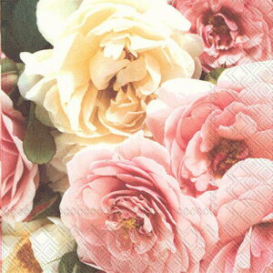 5y[p[ivL@AWDOTJA@[Yʐ^@[IHR]`TCY@[Y@o@KN