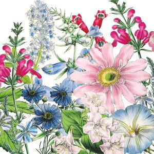�y�[�p�[�i�v�L�� �t���[���[�J���`���[ Flory Culture[Paper Products Design]PPD �y�[�p�[�v���_�N�g�f�U�C�� �����`�T�C�Y ���n �ԕ�