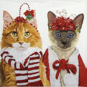 10y[p[ivL NX}Xt@bV̔L2C ppd[Paper Products Design]hCc `TCY lR Cat Lbg NX}X