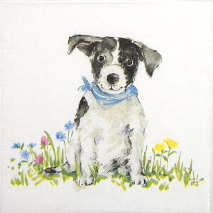 犬 ナプキン キッチン用品の人気商品 通販 価格比較 価格 Com