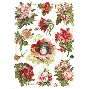 NX@ԓVgԉԁ@CHROMOS@hCc@o^CEBNgAErNgAEAeB[NEGWFEPr