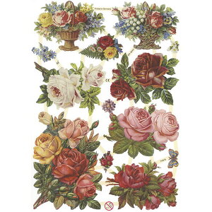 NX@bh[Y@CHROMOS@hCc@o^CEBNgAErNgAEAeB[NEKNEoEԃo