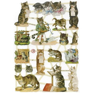 NX ̂Litj@CHROMOShCc@lREqLEBNgAErNgAEAeB[NELbgElRE˂