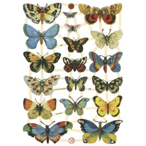 NX o^tC@CHROMOShCc@E`E