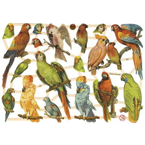 NX@JtȒ@CHROMOS@hCc@BNgAErNgAEAeB[NEEo[hE