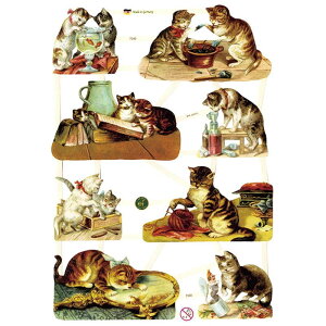 NX L̂itj@CHROMOShCc@lREqLEBNgAErNgAEAeB[NELbgElRE˂