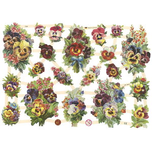 NX@pW[u[P@CHROMOS@hCc@o^CEBNgAErNgAEAeB[N