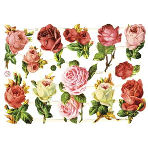 NX@sN[Y@CHROMOS@hCc@o^CEBNgAErNgAEAeB[NEKNEo