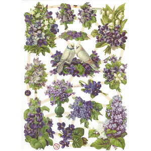 NX@݂Ɣ@CHROMOS@hCc@o^CEBNgAErNgAEAeB[NEX~EoCIbgE俁EsWEng