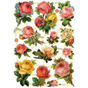 NX@sNCG[[Y@CHROMOS@hCc@o^CEBNgAErNgAEAeB[NEKNEoEXiOTEܖY