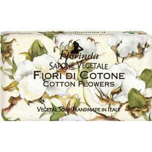 t_ tOX\[v@Rbgt[@Florinda@MtgΌ@Mtg\[v@{fB\[v@nh\[vEtFCX\[vEF܁@[֍ő10܂