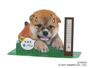 サンリオ 犬 グリーティングカードの人気商品 通販 価格比較 価格 Com