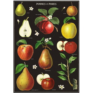 Cavallini&Co @bsOy[p[@Abv@|X^[@A@XNbvubLOE|X^[EfRp[WE񂲁EьES