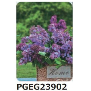 A@|XgJ[h @CbNā@hCc@Gt@ړI@bZ[WJ[h@Ԏʐ^