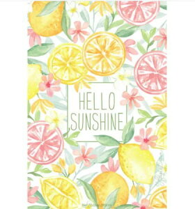 EB[ubN TVFL n[TVC Hello Sunshine Fresh Scents tbVZc F tOX O[[t [tOX 