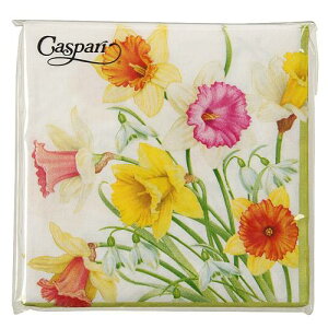 5 y[p[ivL iVX  F n Caspari JXpt[  t `TCY