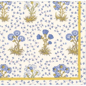 5 y[p[ivL Z~X h t[ Semis de Fleurs CaspariJXp Ԗ͗l  u[ n eLX^C