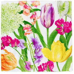 5 y[p[ivL XvOt[V[ CaspariJXp t[  t C[X^[ n `[bv XC[gs[