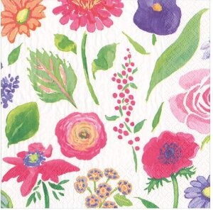 5 y[p[ivL  T}[^C Summer time Caspari JXp t[  n