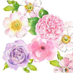 10�� �y�[�p�[�i�v�L�� �t�����[�u���b�V�� Flower Blush �����`�T�C�Y ppd Paper Design Product ���n ��