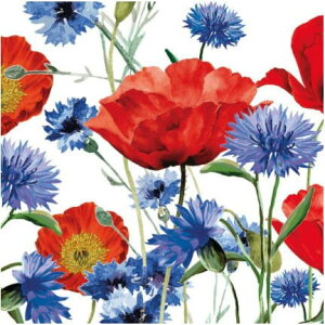 10 y[p[ivL T}[tB[h Summer Field `TCY ppd Paper Design Product n ԑ O}\E |s[ PV