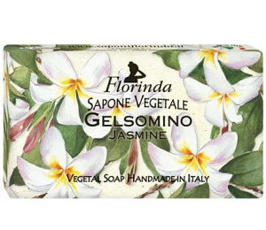 t_ tOX\[v t[X WX~ MtgΌ Mtg\[v {fB\[v nh\[v Ō`Ό FΌ