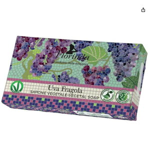 t_ tOX\[v@UCNV[Y@uhE@MtgΌ Mtg\[v {fB\[v nh\[v tFCX\[v O[v