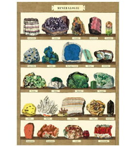 Abv|X^[ z2 Cavallini&Co Jo[j |X^[  A A|X^[