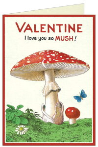 Cavallini&Co o^CJ[h }bV[ J@[j n uN LmR ̂