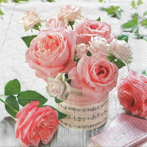 5 y[p[ivL ~[WbN[Y Ambiente ArGe `TCY n o [Y ʐ^ sN[Y