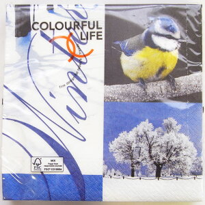 C-51 3y[p[ivL `TCY frosty [COLOURFUL LIFE]JtCtwinterSEEቻρEʐ^EivLEfRp[W