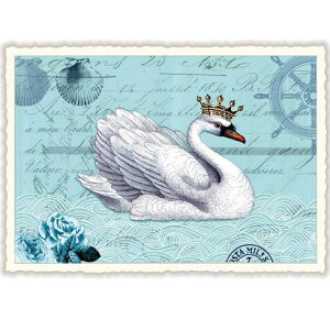 A|XgJ[h GfBV^E[hVF[  _CJbgH hCc  o[h  g X 