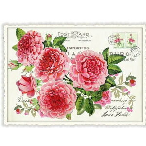 A|XgJ[h GfBV^E[hVF[ O_CJbgH hCc t[ sIj[