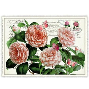 A|XgJ[h GfBV^E[hVF[  _CJbgH hCc t[ JA