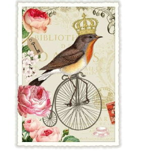 A|XgJ[h GfBV^E[hVF[ ]ԂƉo[h _CJbgH hCc  o[h  g