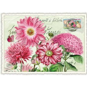 A|XgJ[h GfBV^E[hVF[ FXȃsN _CJbgH hCc t[