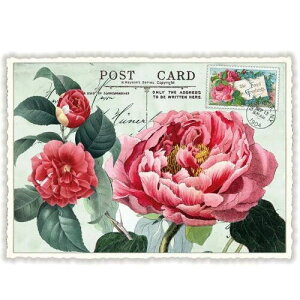 A|XgJ[h GfBV^E[hVF[ ւƉO _CJbgH hCc t[ JA sIj[