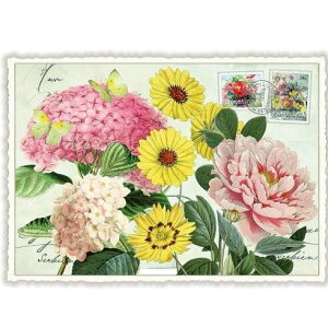 A|XgJ[h GfBV^E[hVF[ sNƉF̉Ԃ _CJbgH hCc t[