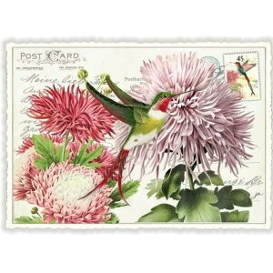 A|XgJ[h GfBV^E[hVF[ IƃAX^[ _CJbgH hCc  o[h  g n`h ͂ǂ