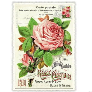 A|XgJ[h GfBV^E[hVF[ [YJ`[ _CJbgH hCc KN o