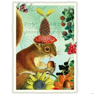 A|XgJ[h GfBV^E[hVF[ X _CJbgH hCc 肷