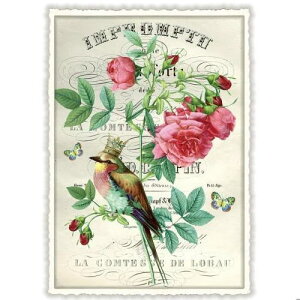 A|XgJ[h GfBV^E[hVF[ ԉOƉo[h _CJbgH hCc  o[h  g sIj[